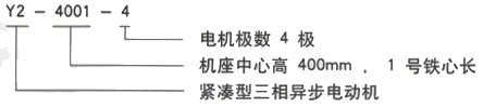 YR系列(H355-1000)高压YRKK6303-12三相异步电机西安西玛电机型号说明